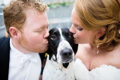 Dog getting kissed by bride and groom at wedding