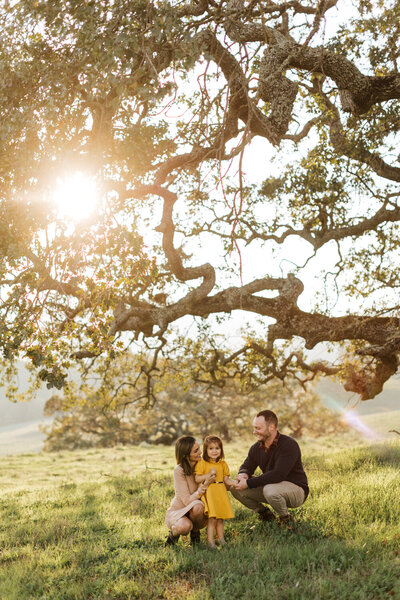 Mom wearing a red dress holding newborn baby up in a field during golden hour taken by a San Francisco Family photographer.