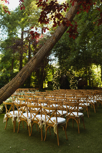 chairs at a wedding ceremony