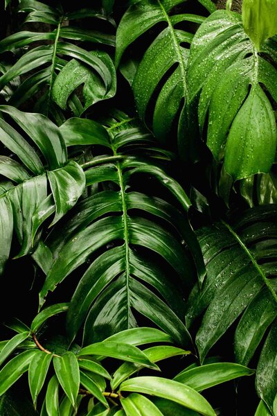 Natural tones used in residential interior 