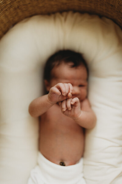 Newborn Photography Madison WI