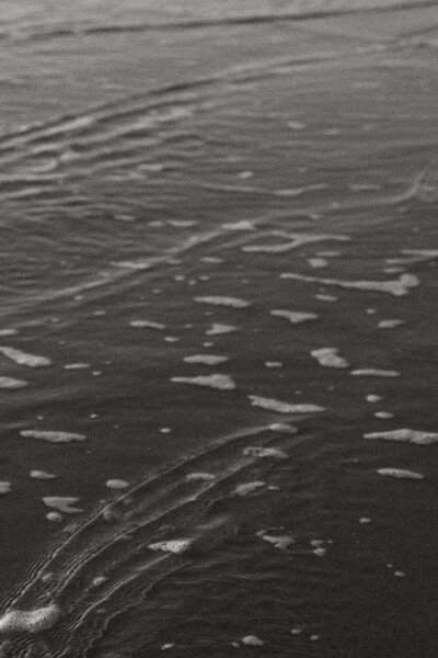 TaylorRoachPhoto-19293_websize