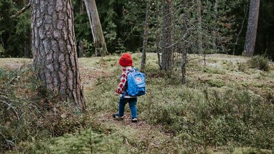 Lapland-in-de-zomer-wandelen-familiereis-finland