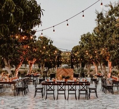 family bridal party posing in front of palm trees for Mexico wedding