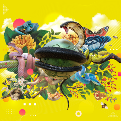 The Child Symbol Series