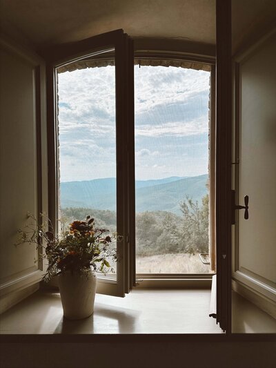 Mostly open window with flowers on the window sill looking out onto trees and mountains and a cloudy sky