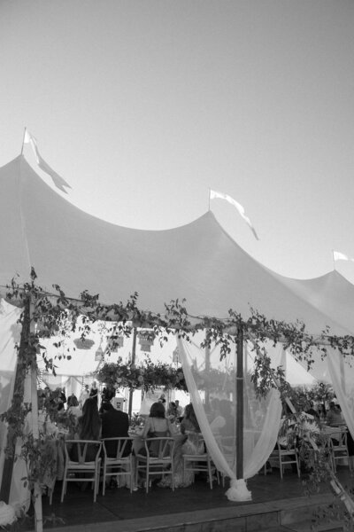 Link to Wedding Portfolio.