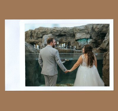 Fontaine Photography + Film - Lindsay - Alberta Photographer