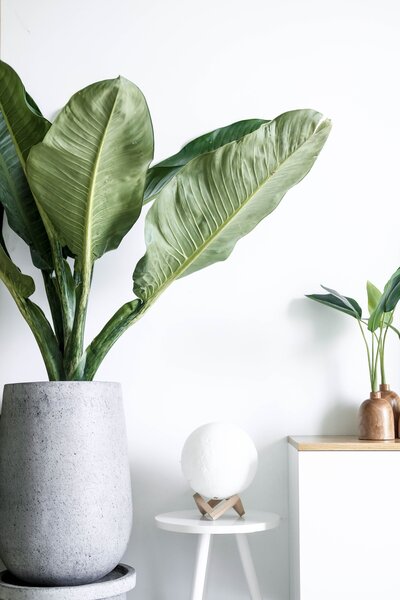 Unlock the power of purpose and resilience through Marcia Alvarado’s Authentic Vitality coaching. Discover a framework built to energize emerging leaders and align your personal truth with professional success.