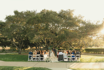 Wedding guests sitting under oak tree during ceremony