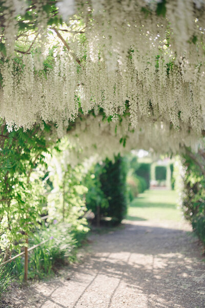 Cameron and Elizabeth Photography