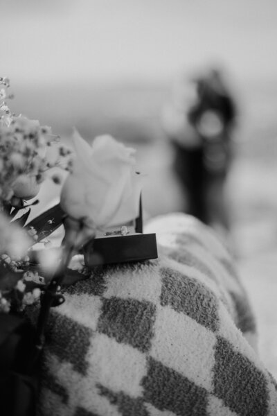 lgbtqia phoenix proposal photographer