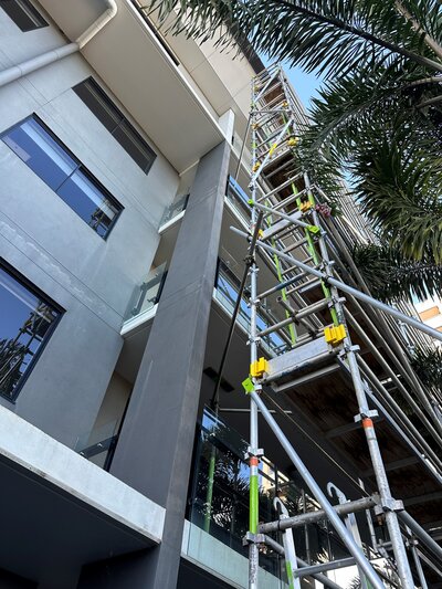 Scaffold