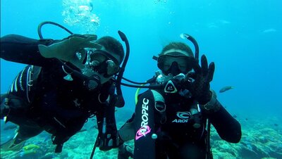 Flinders Reef Scuba Diving