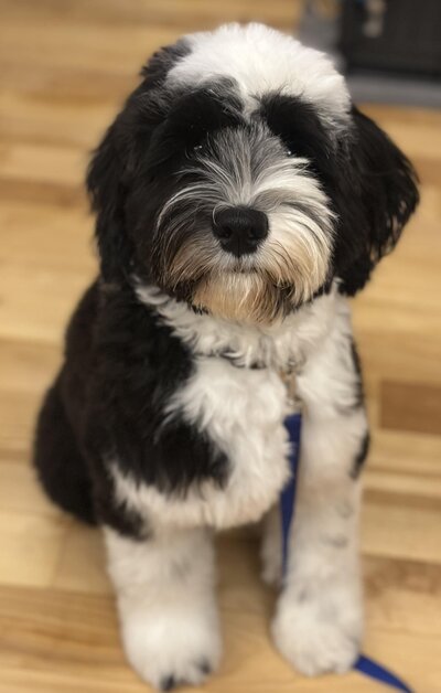 abf27991-56a9-442b-b764-bfd2392ef101