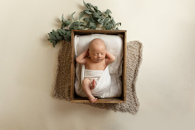 Posed newborn boy with his hands behind his head