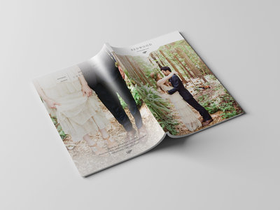 cover and back