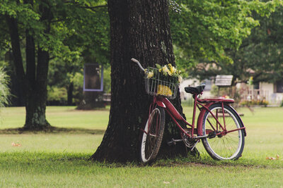 Canva - Commuter Bike Leaning on Tree