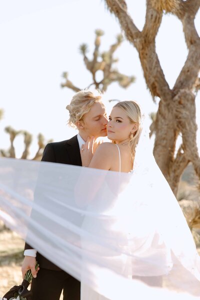 An elopement in Joshua Tree National Park.