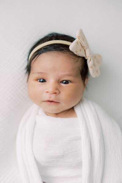 Mother and Father hold their baby during their studio Newborn Photography session with Samantha Jay