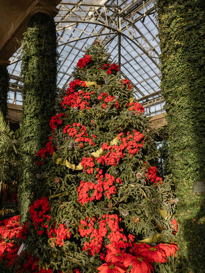 Fall sunset photograph of a family at the park with fall leaves at their feet