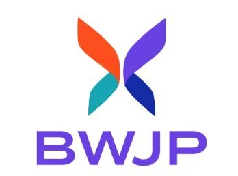 Battered Women's Justice Project