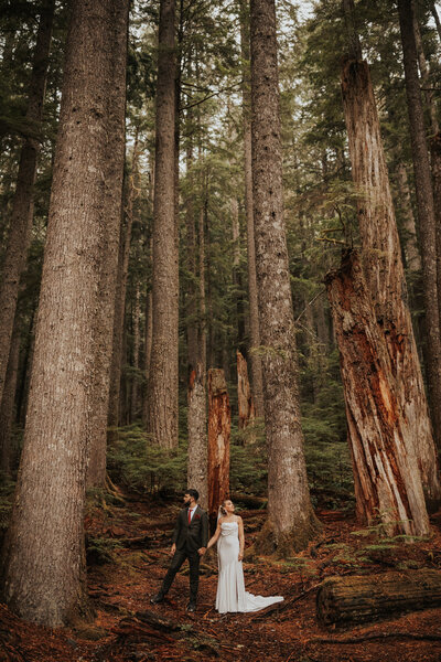 mountain elopement in a national park
