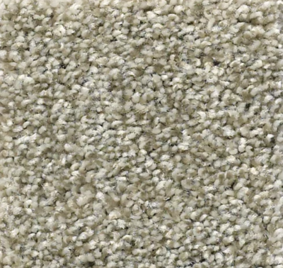 Neutral colored carpet