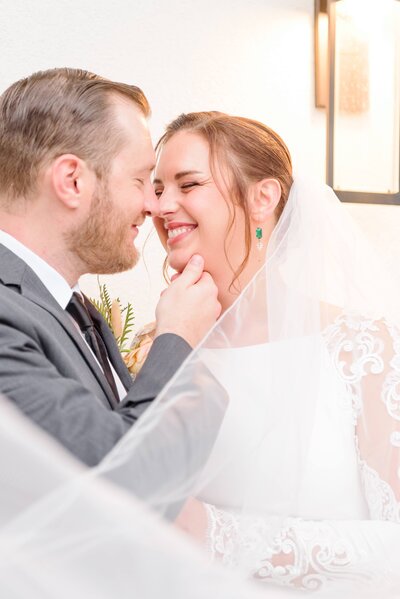 A couple kisses under a wedding veil.