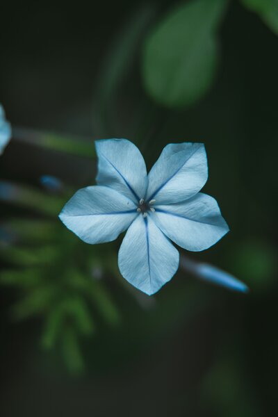 Confident woman in white jacket