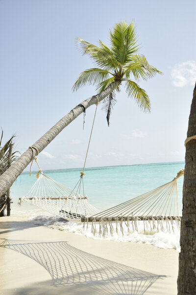 Beach side hammocks