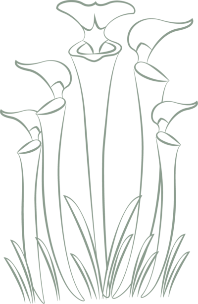 K.S.Otter Events custom daffodil icon