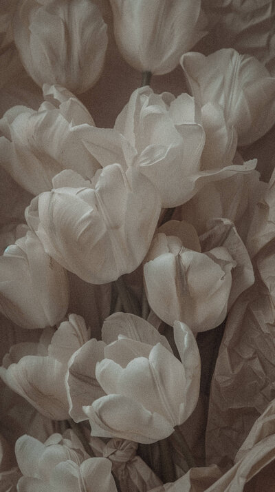A soft and muted bouquet of white tulips, representing inner peace, purity, and spiritual growth