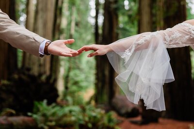 Two hands almost touching.