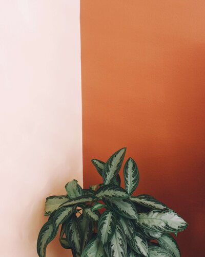 adrian-duenas-6EFGIEWWnPY-unsplash