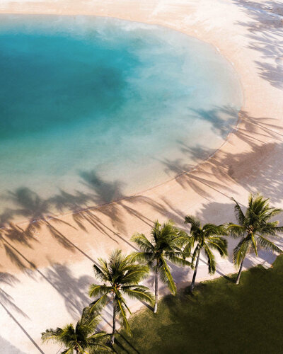 Secluded ocean cove with white sand and swaying palms, mist rolling off turquoise waters. Pure escape and serenity.