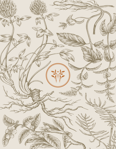 Floralyn Portfolio-04