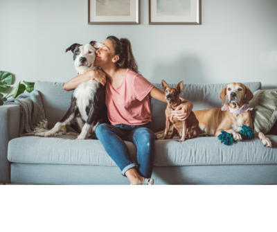 Woman sitting on couch with three dogs in Yarmouth, NS home

