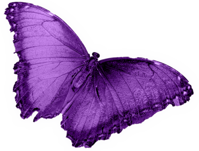 Glowing Purple Butterfly or moth Representing Animal Communication Course
