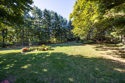 6 Andrew yard (2)