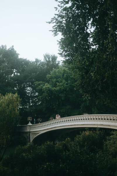 Central Park NYC