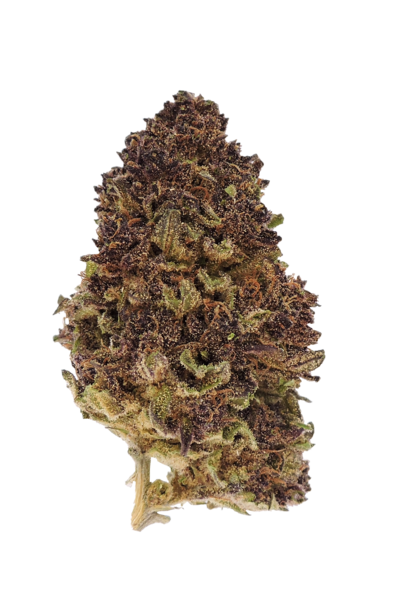 Dired Blueberry Muffin Bud