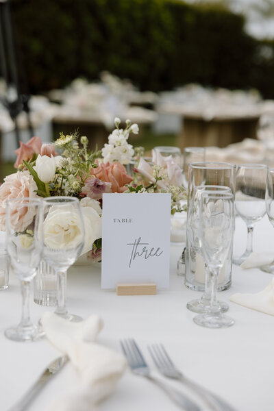 Luxury Fun wedding photo Shot by Orange County Wedding Photo and video team 