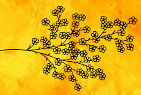 branch + orangyyellow