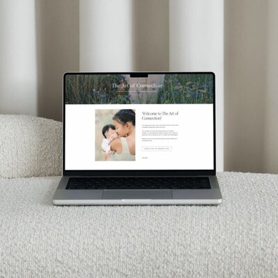 mentorships and online courses for family photographers