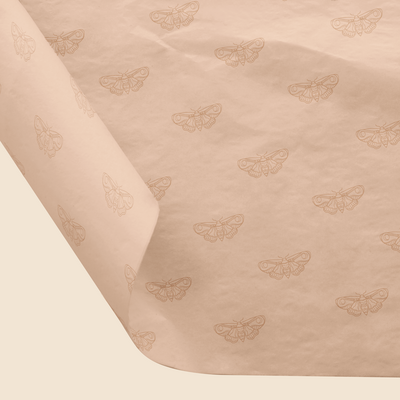 Emmygination_Studio_Portfolio-Morning-Moth_02