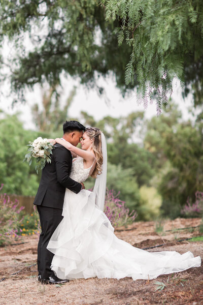bride and groom under tree at a san diego wedding