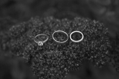 IMG_0078