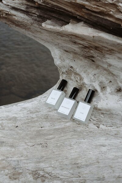 City Faire by Northfolk_0070