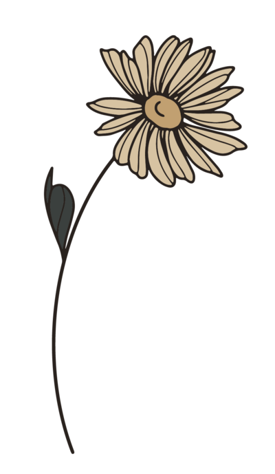 Graphic Image, a single wild flower